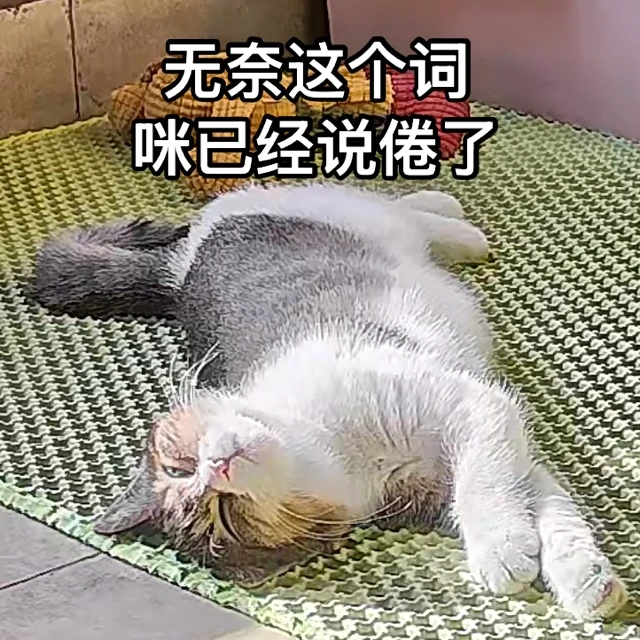 秋秋表情包第一弹