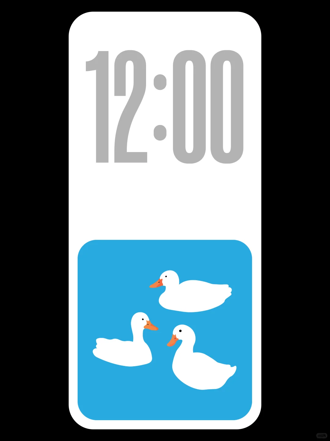 白鹅浮清水｜简约壁纸