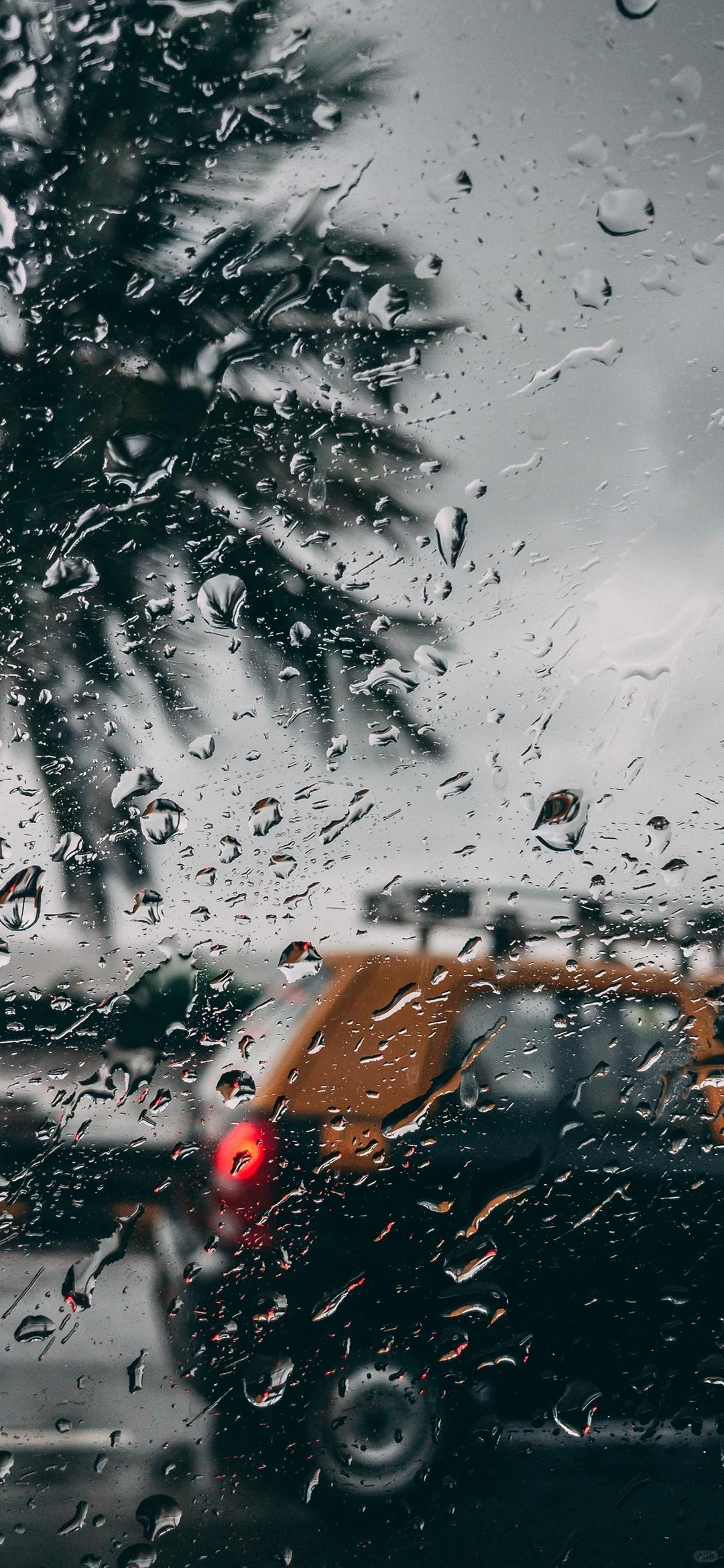 爱惨这组小众质感的隔窗雨景壁纸了！！！