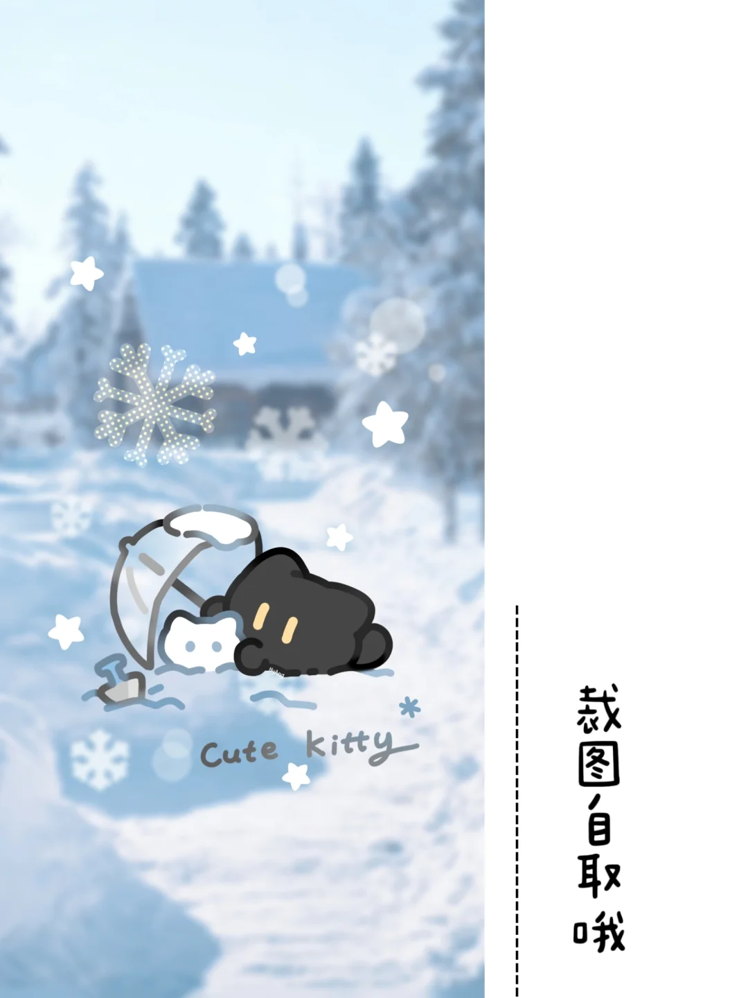 🌨️雪地小黑猫壁纸来啦❄️
