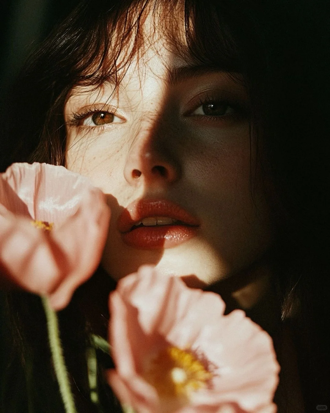 美，是选择光停留的方式