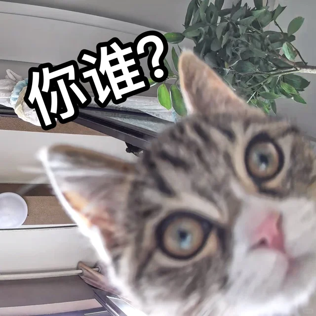 秋秋表情包第一弹