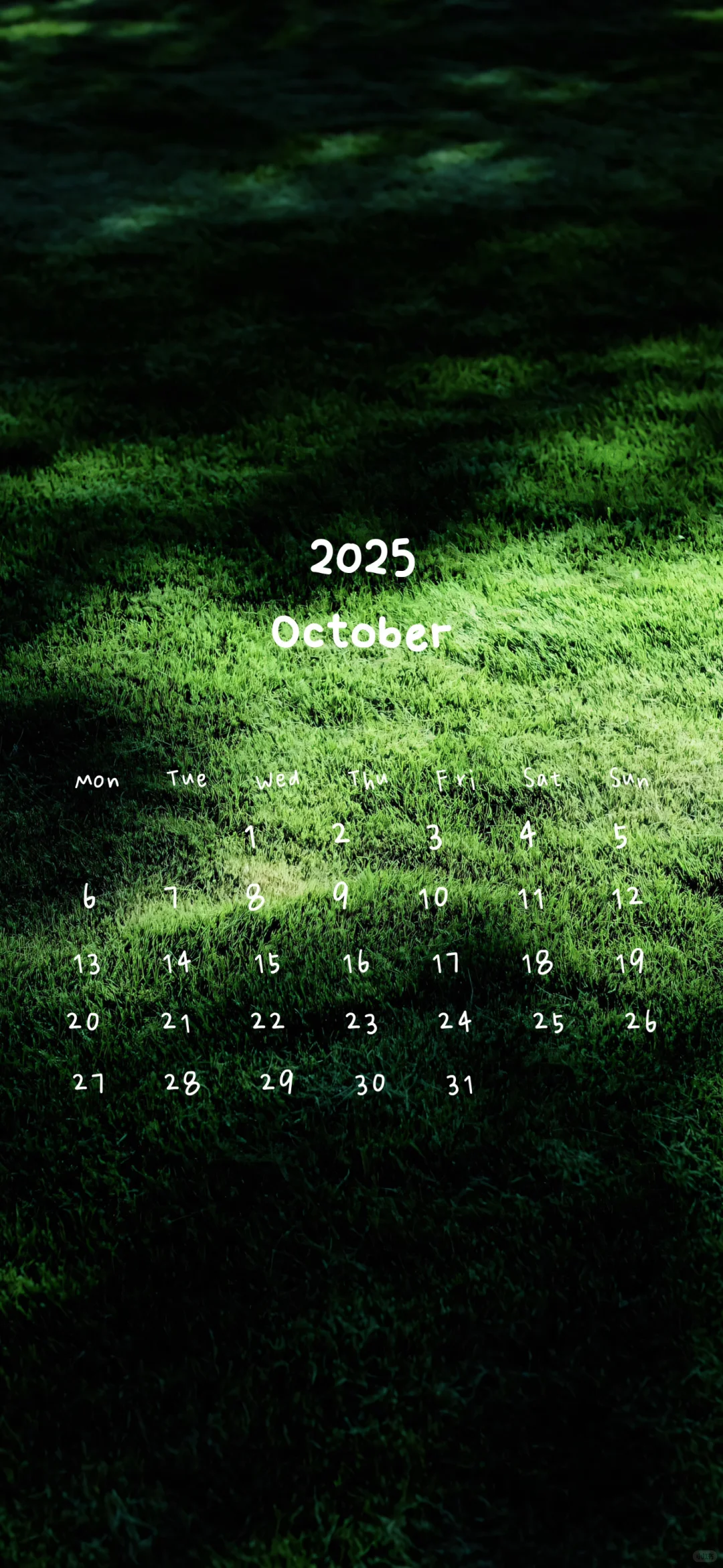 📆日历壁纸𝐒𝐡𝐚𝐫𝐞 ◡̈°｜🍃