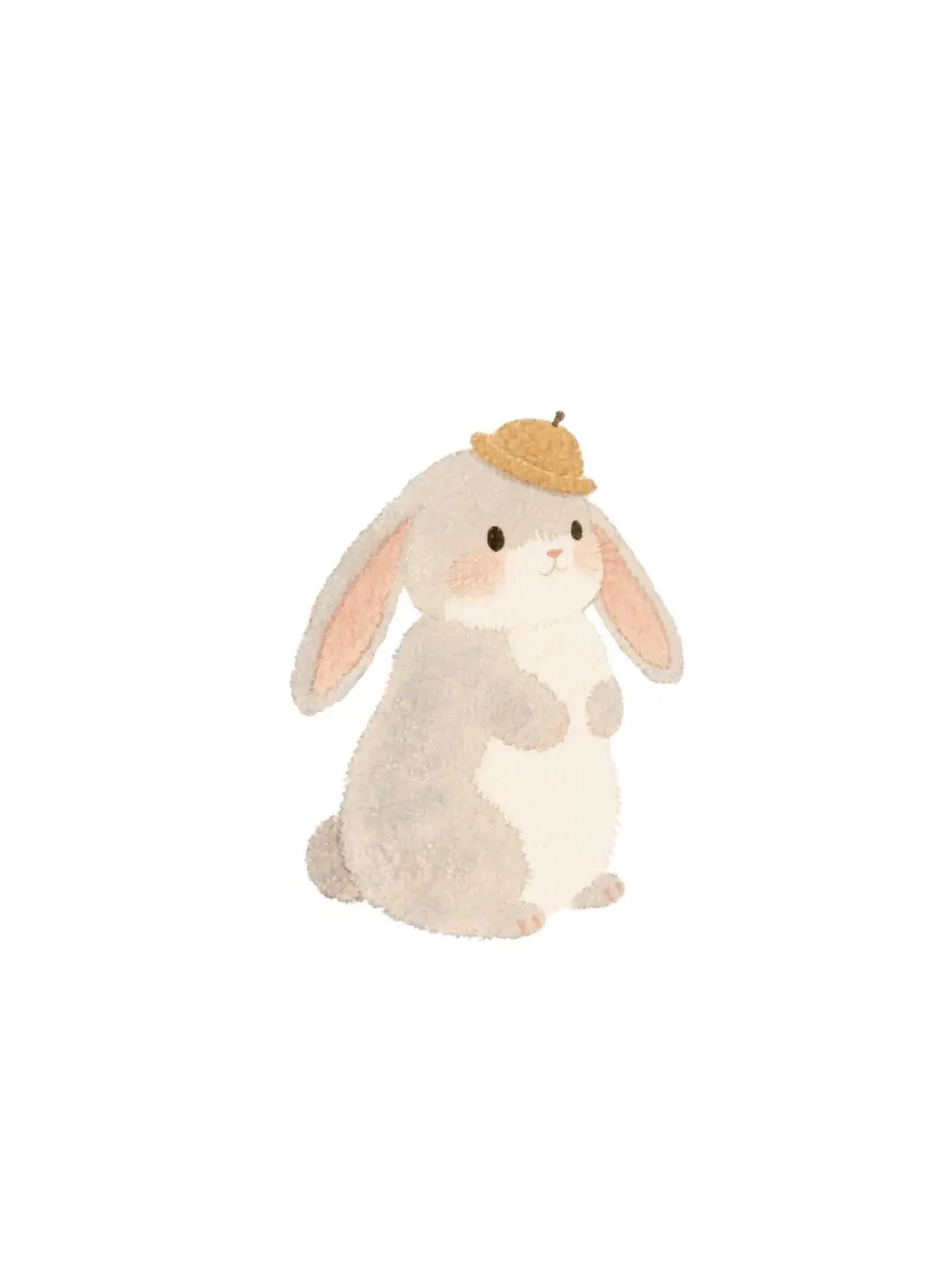🐰🐰｜软萌可爱的兔兔壁纸❣️