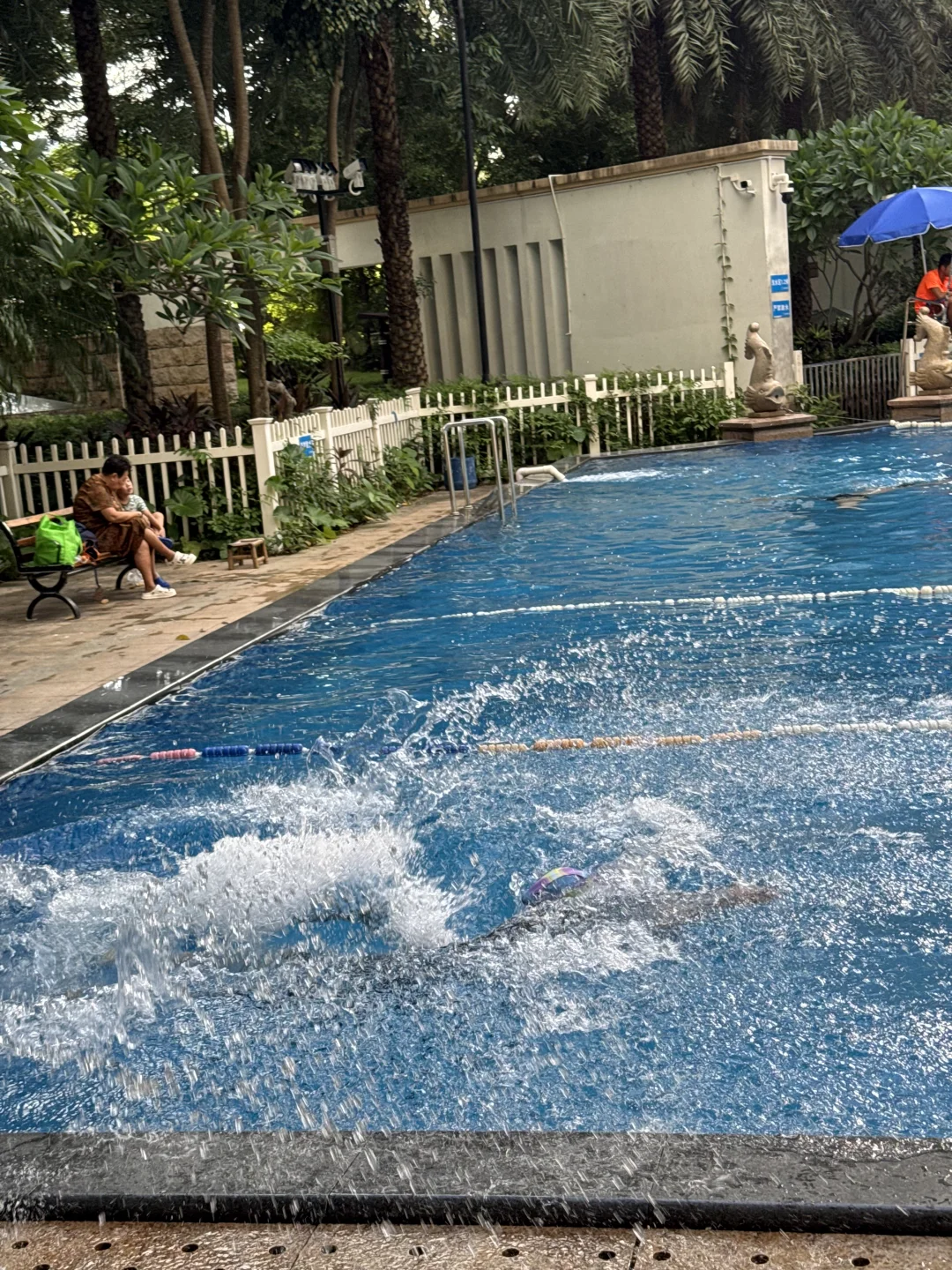 抓住夏天的尾巴游一游