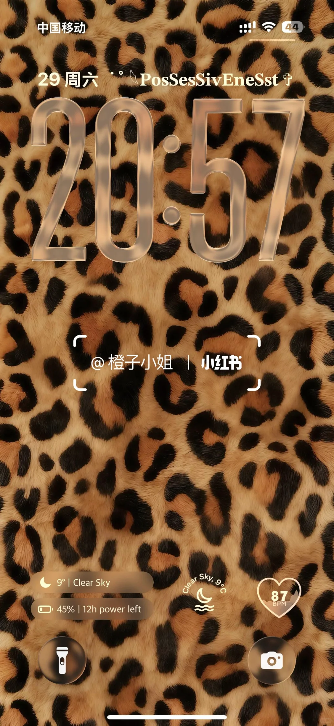 超辣妹的豹纹壁纸🐆