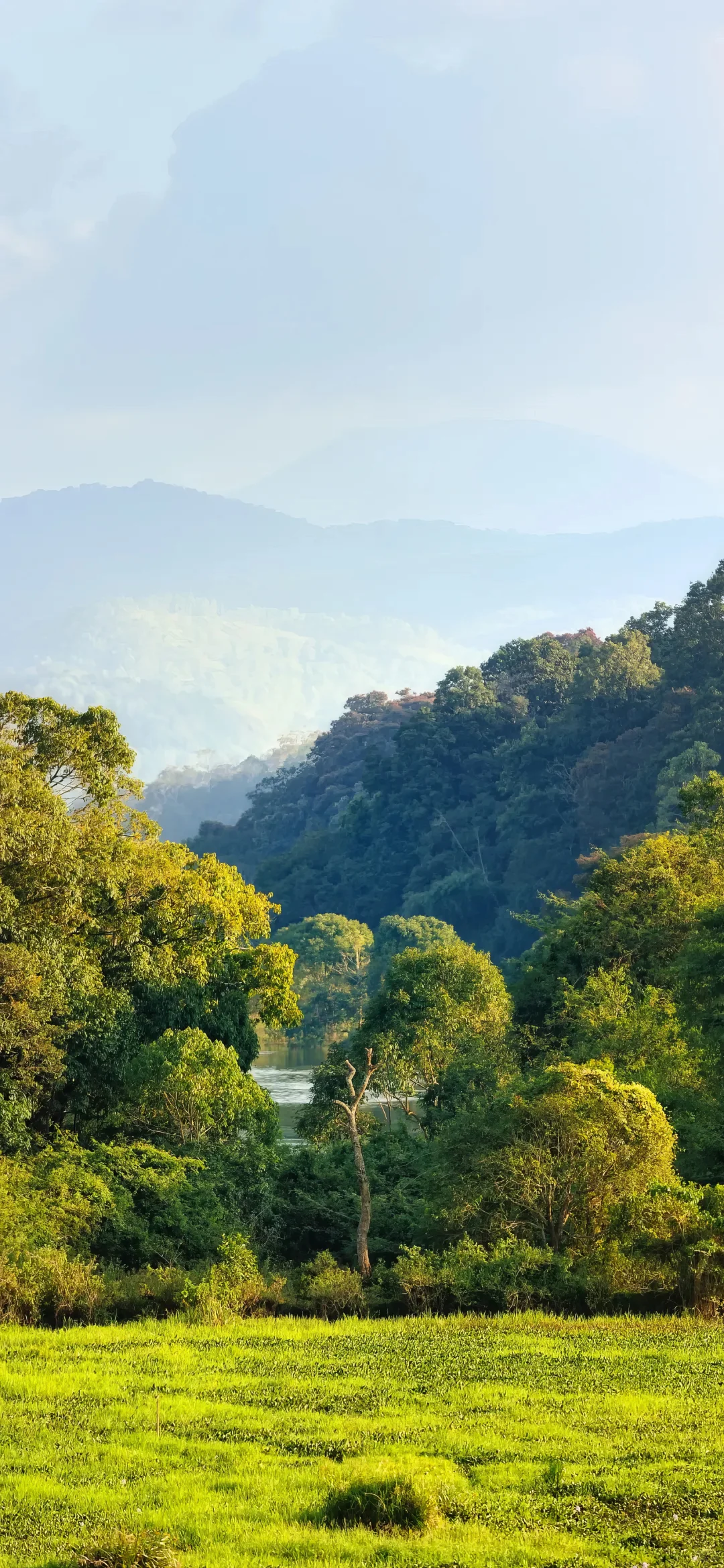 高清手机壁纸分享合集｜027