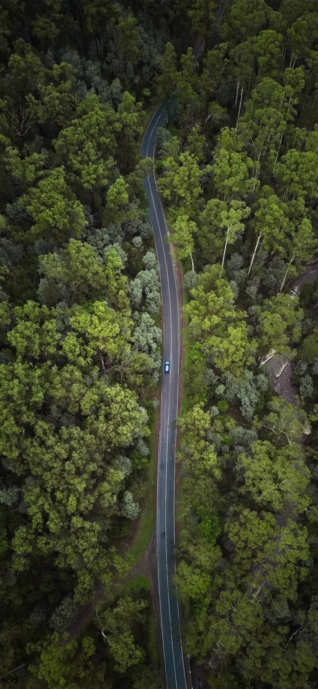 高清手机壁纸分享合集｜027