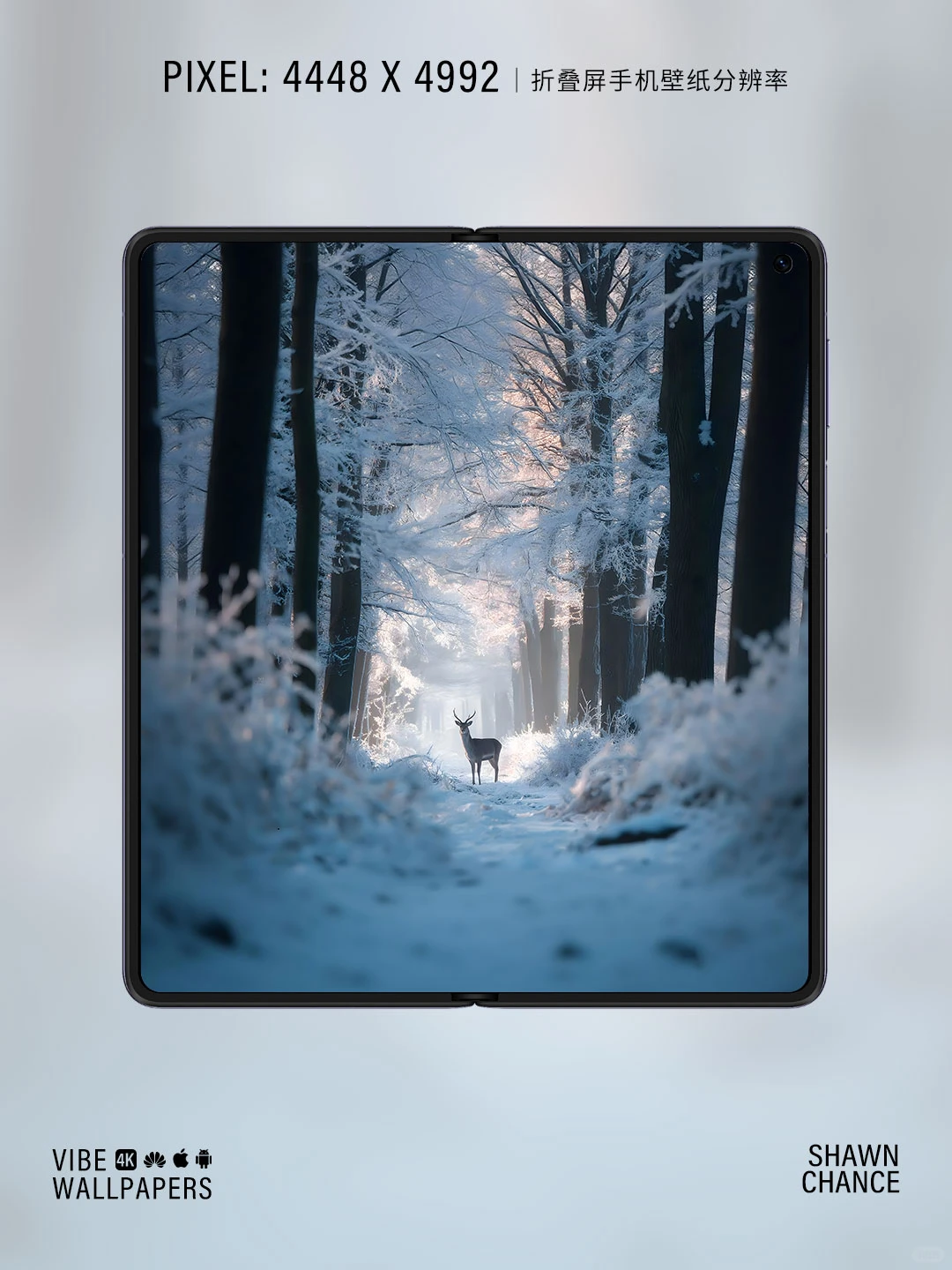 🦌雪林中的鹿，氛围感直接拉满～