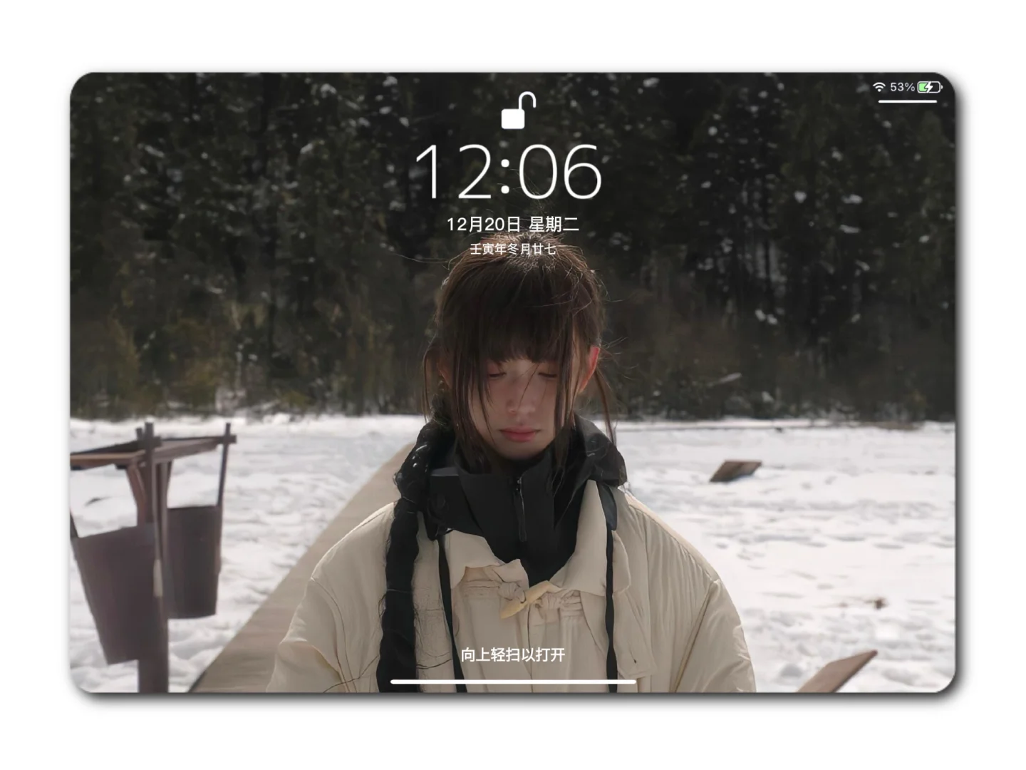 ipad壁纸 | 𝐒𝐧𝐨𝐰 𝐥𝐢𝐠𝐡𝐭𝐥𝐲 ❆