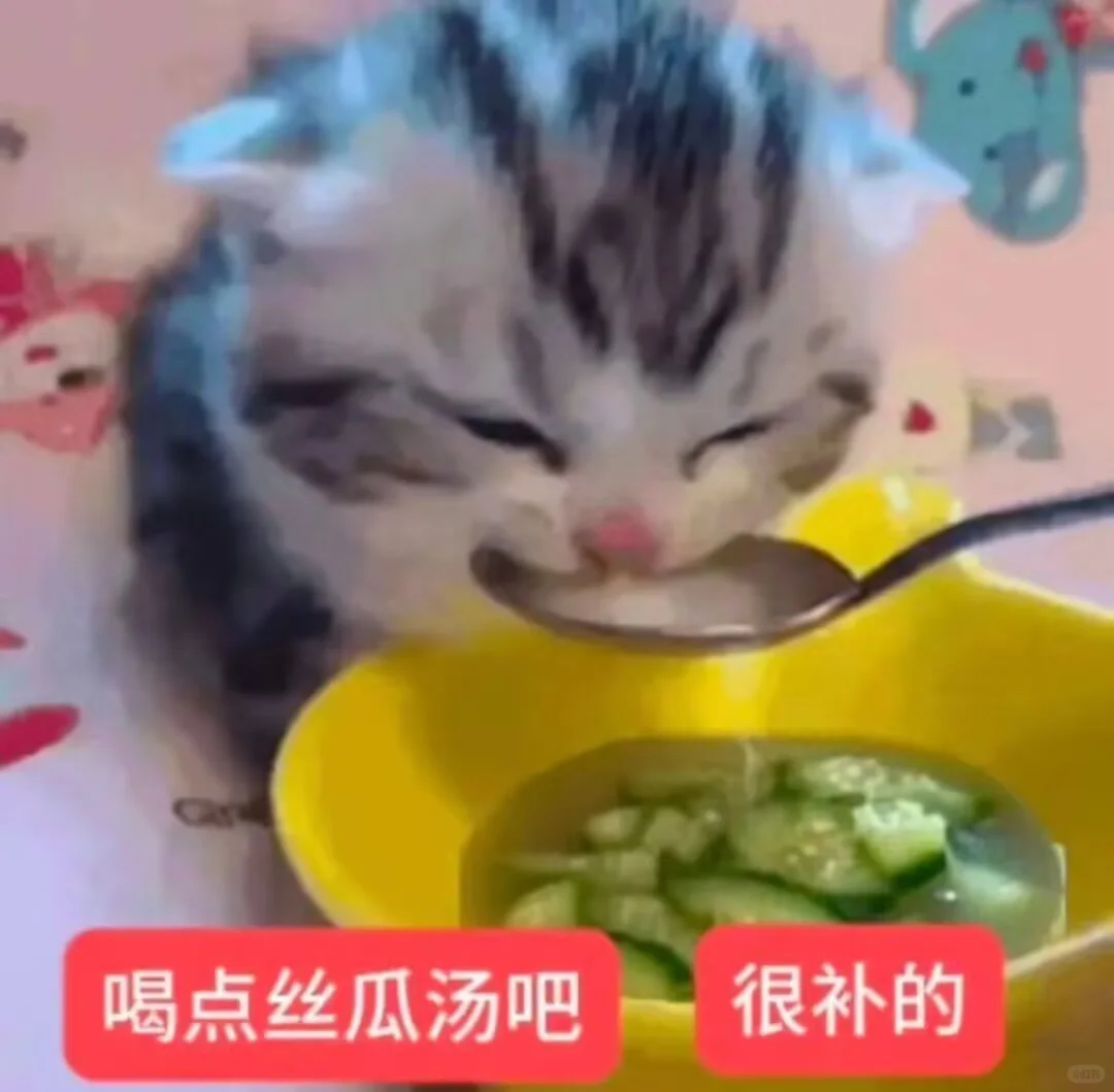 爆火表情包 | ＂火气太重,来喝丝瓜汤＂