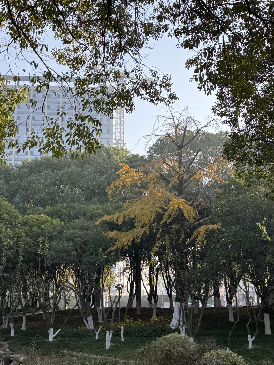 图片壁纸 分享随手拍