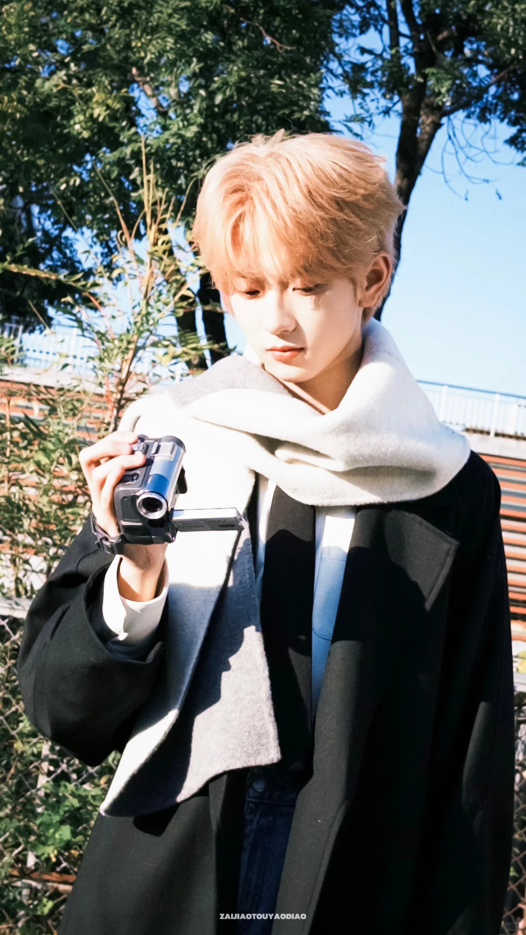 Share壁纸｜阳光下☀️