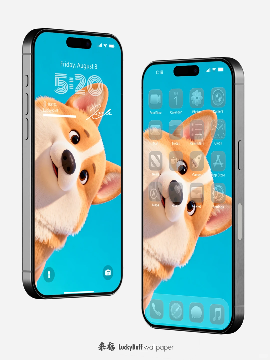 超治愈的柯基狗狗壁纸来咯～