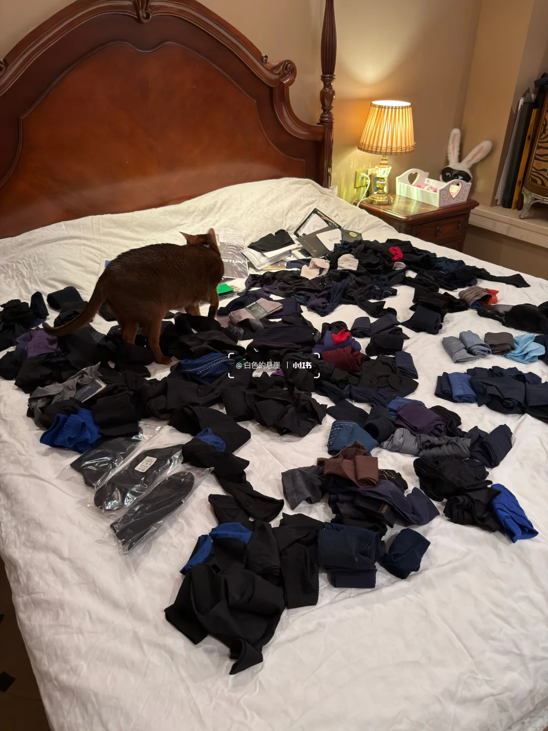 终于把丝袜分类整理完了