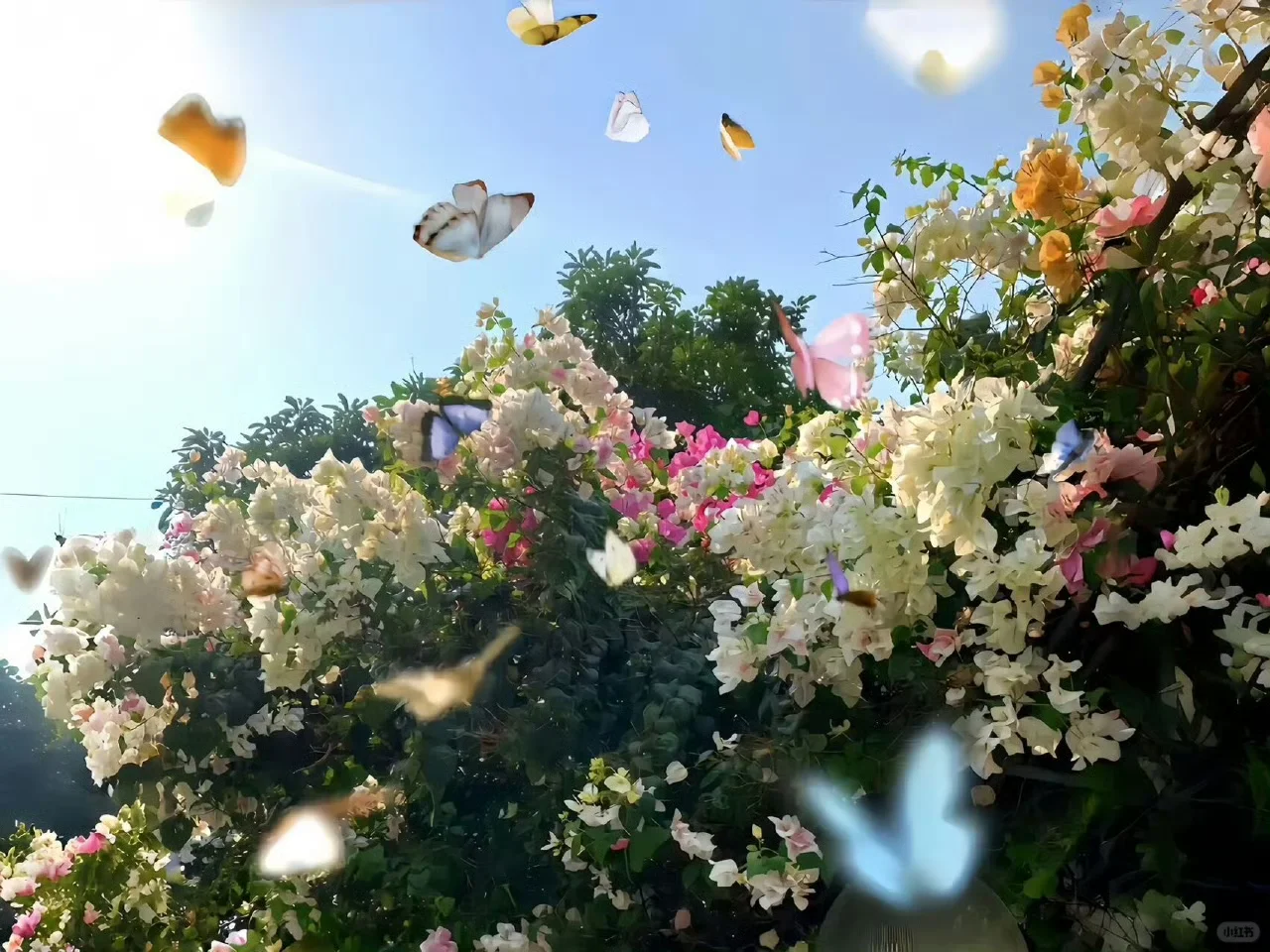 Wallpaper ｜平板裸眼3D高清壁纸