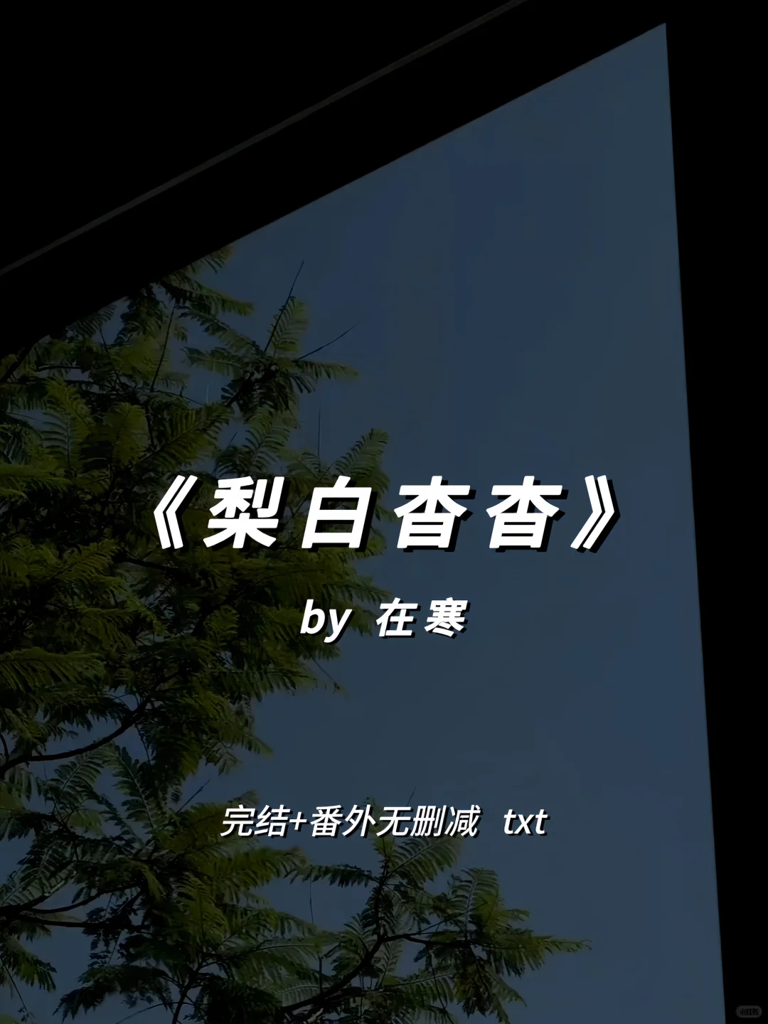 推文｜《梨白杳杳》by在寒