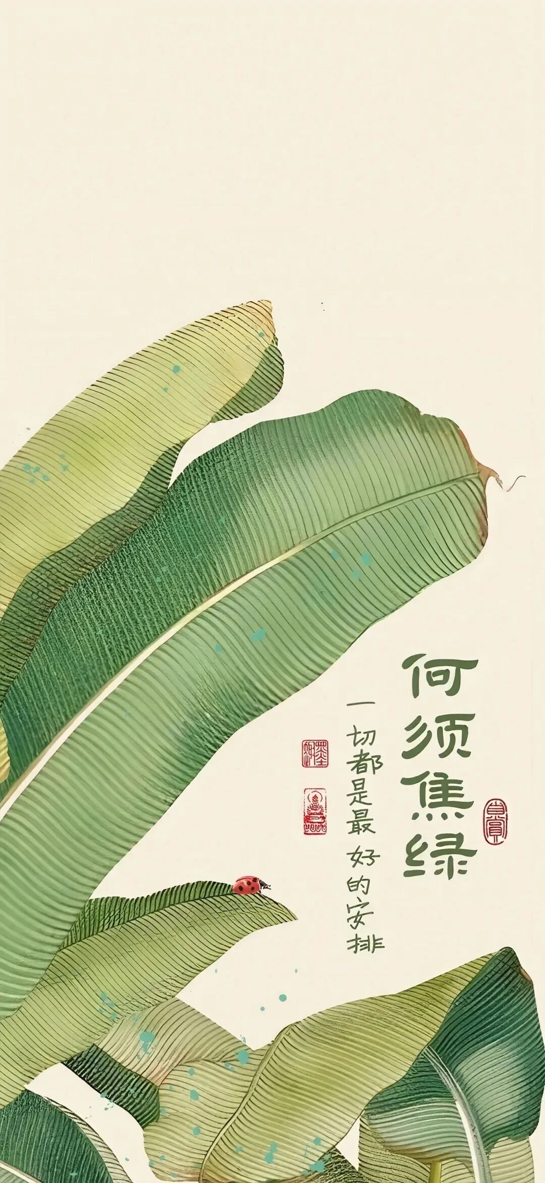 壁纸推荐/超极好看的壁纸