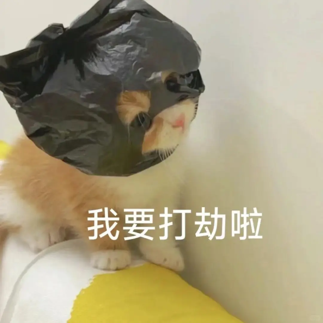 公主表情包收下啦～ 主页取图