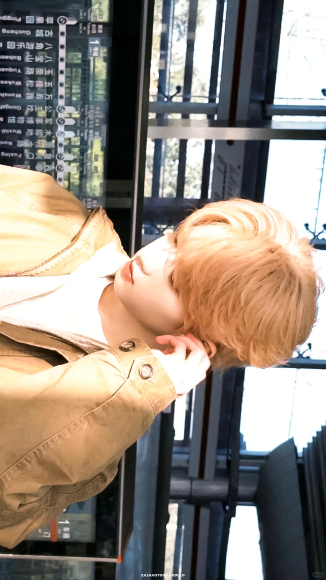 Share壁纸｜阳光下☀️