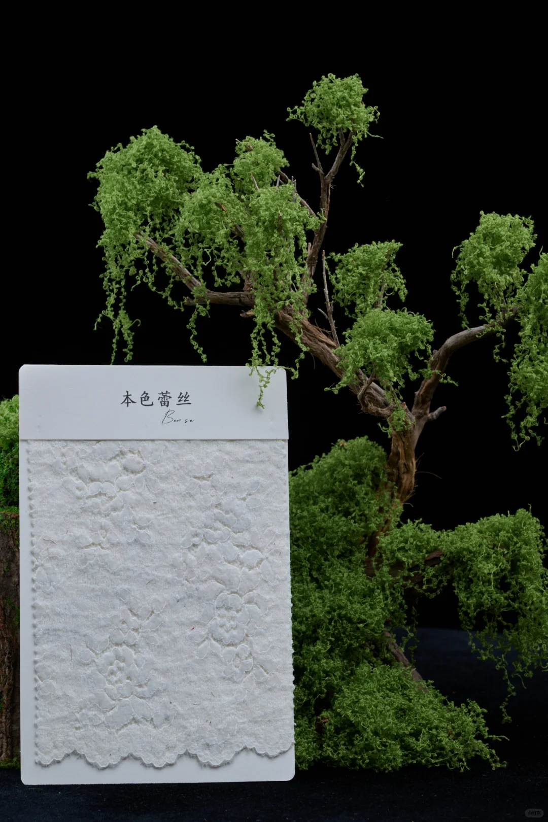 这种质感的花真的爱了|秋冬蕾丝的魅力✨