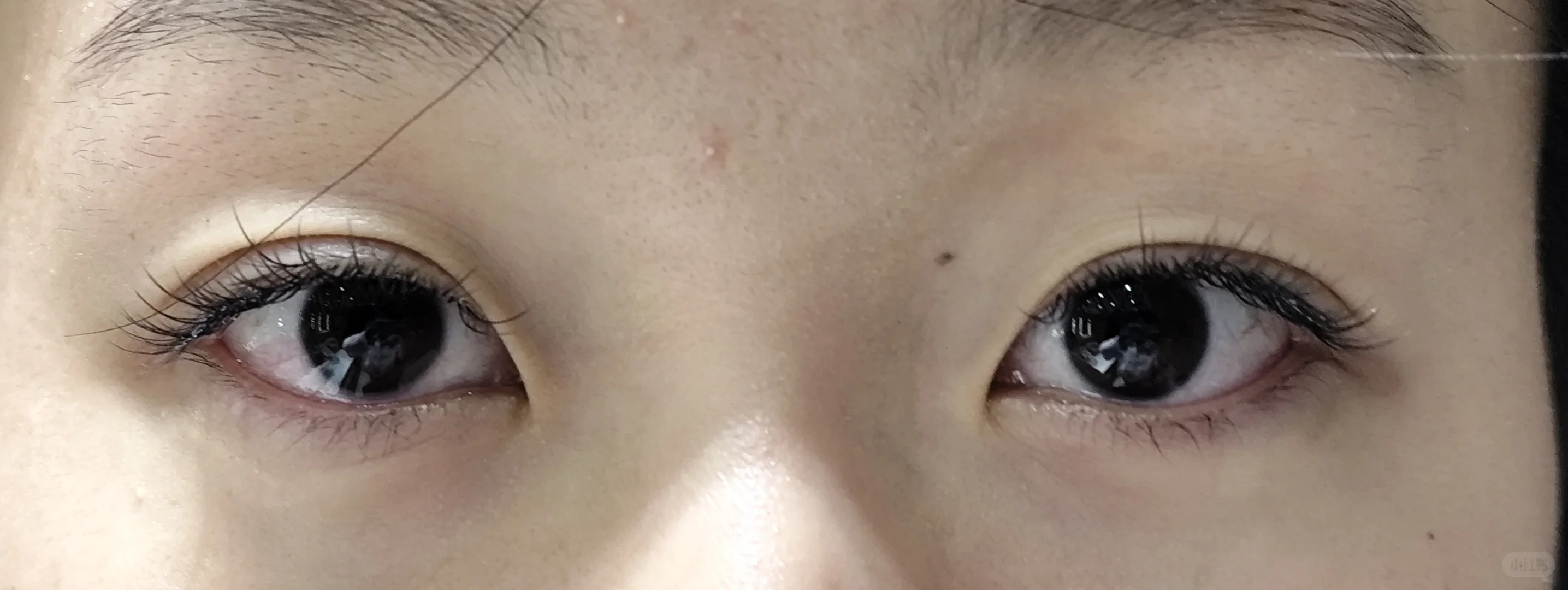 美睫互勉美睫互勉模特