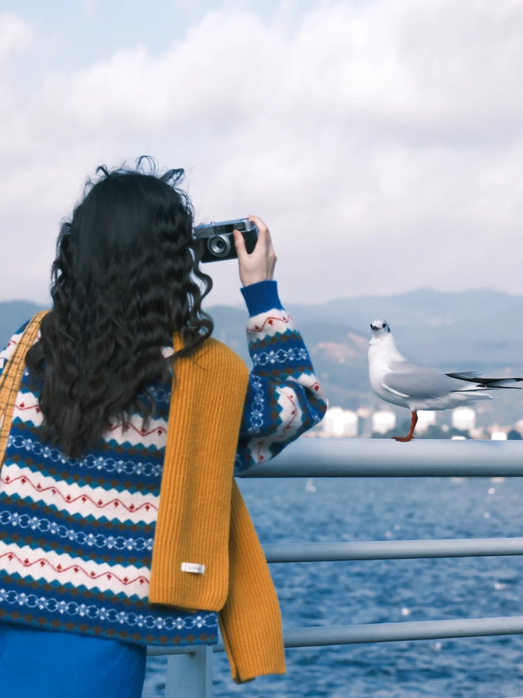 海边拍照 蓝调时刻🎞️冬天与海鸥都如约而至