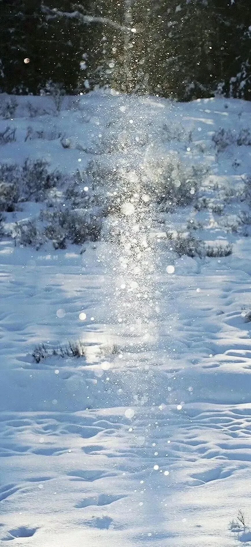 壁纸推荐/超极好看的壁纸