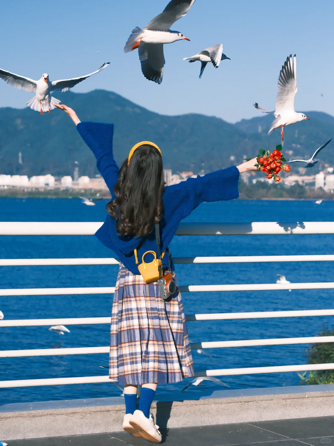 海边拍照 蓝调时刻🎞️冬天与海鸥都如约而至