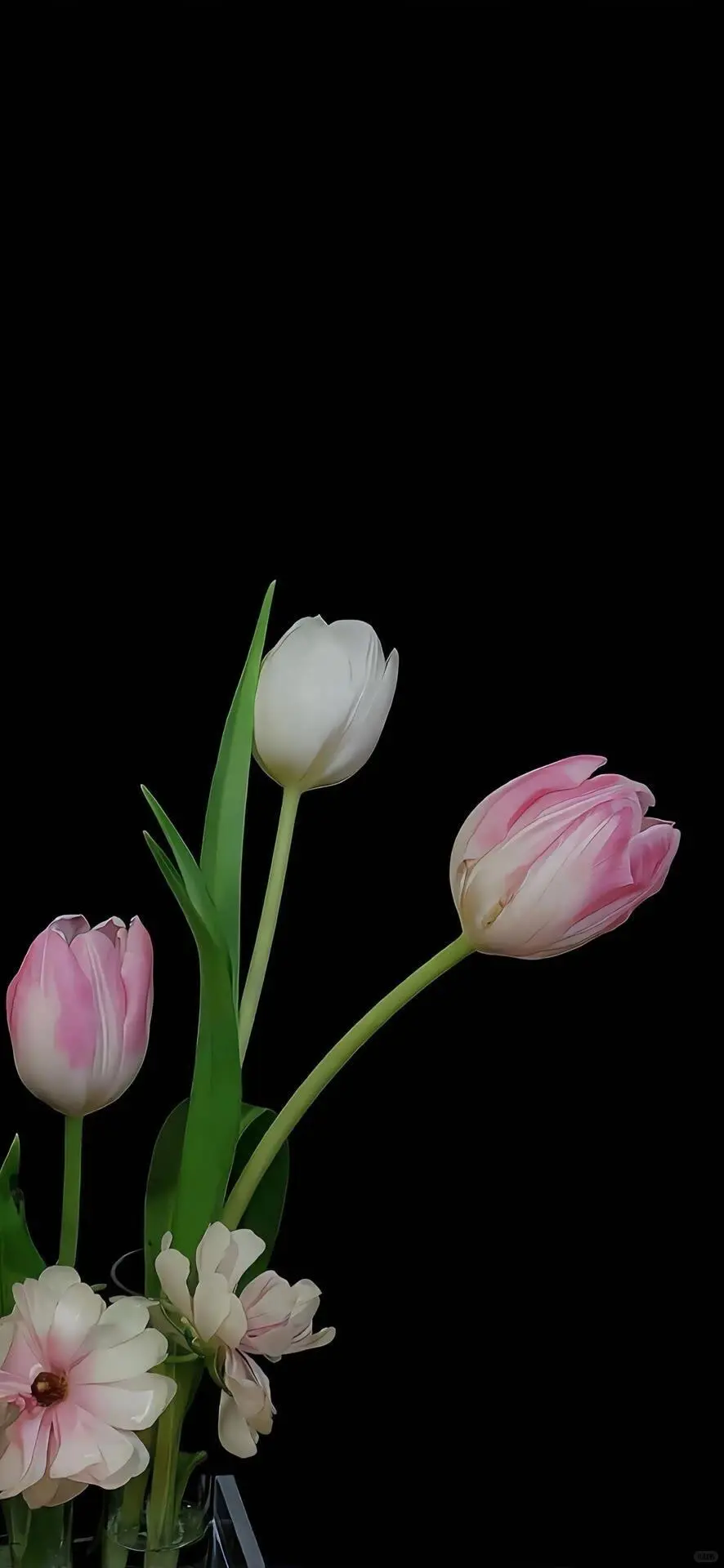 💒 𝐒𝐡𝐚𝐫𝐞｜黑白鲜花壁纸