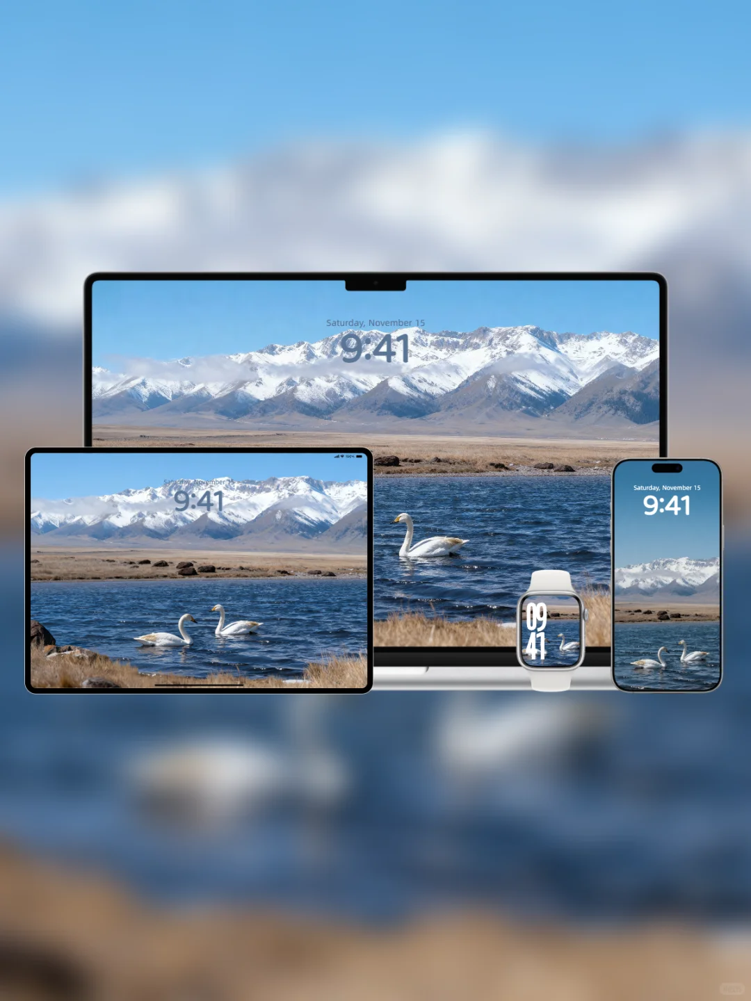 壁纸 S014 | 有一种蓝叫赛里木湖蓝