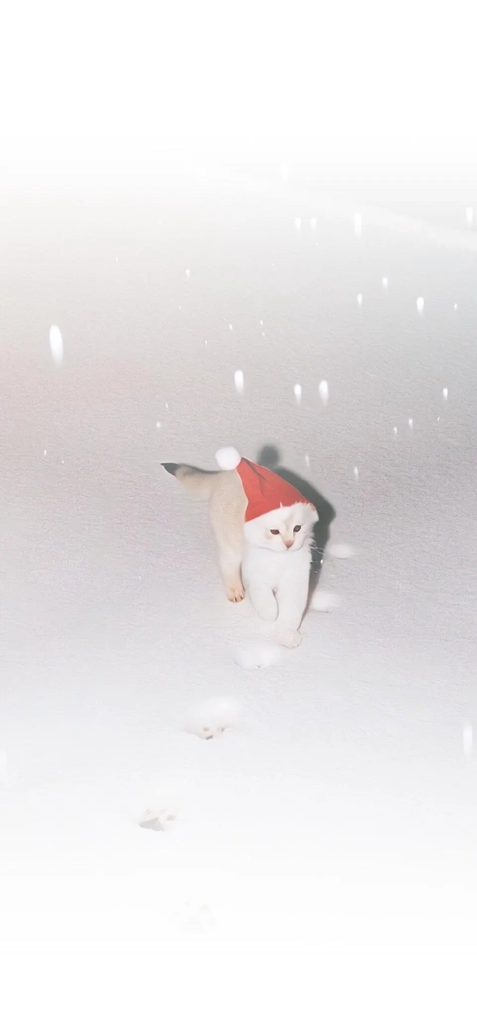 𝐒𝐡𝐚𝐫𝐞丨ins氛围雪景壁纸❄