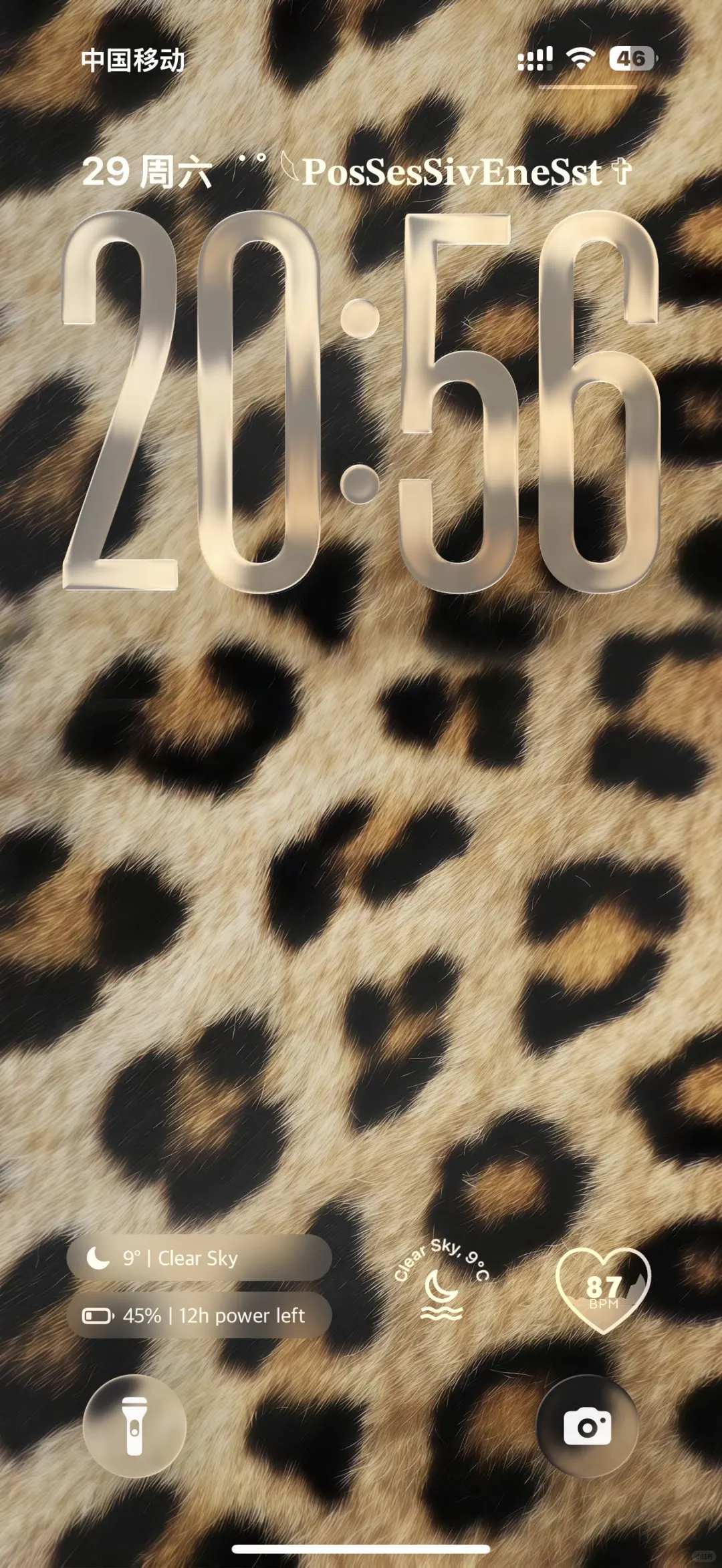 超辣妹的豹纹壁纸🐆