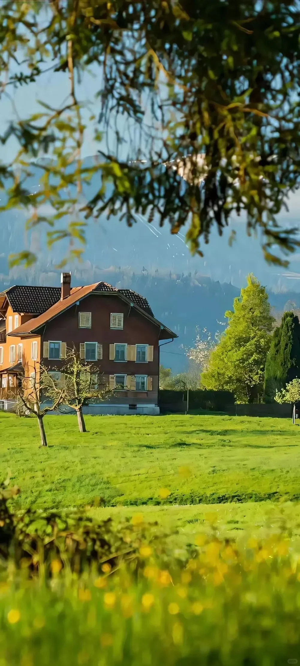 December 7, 2025｜壁纸