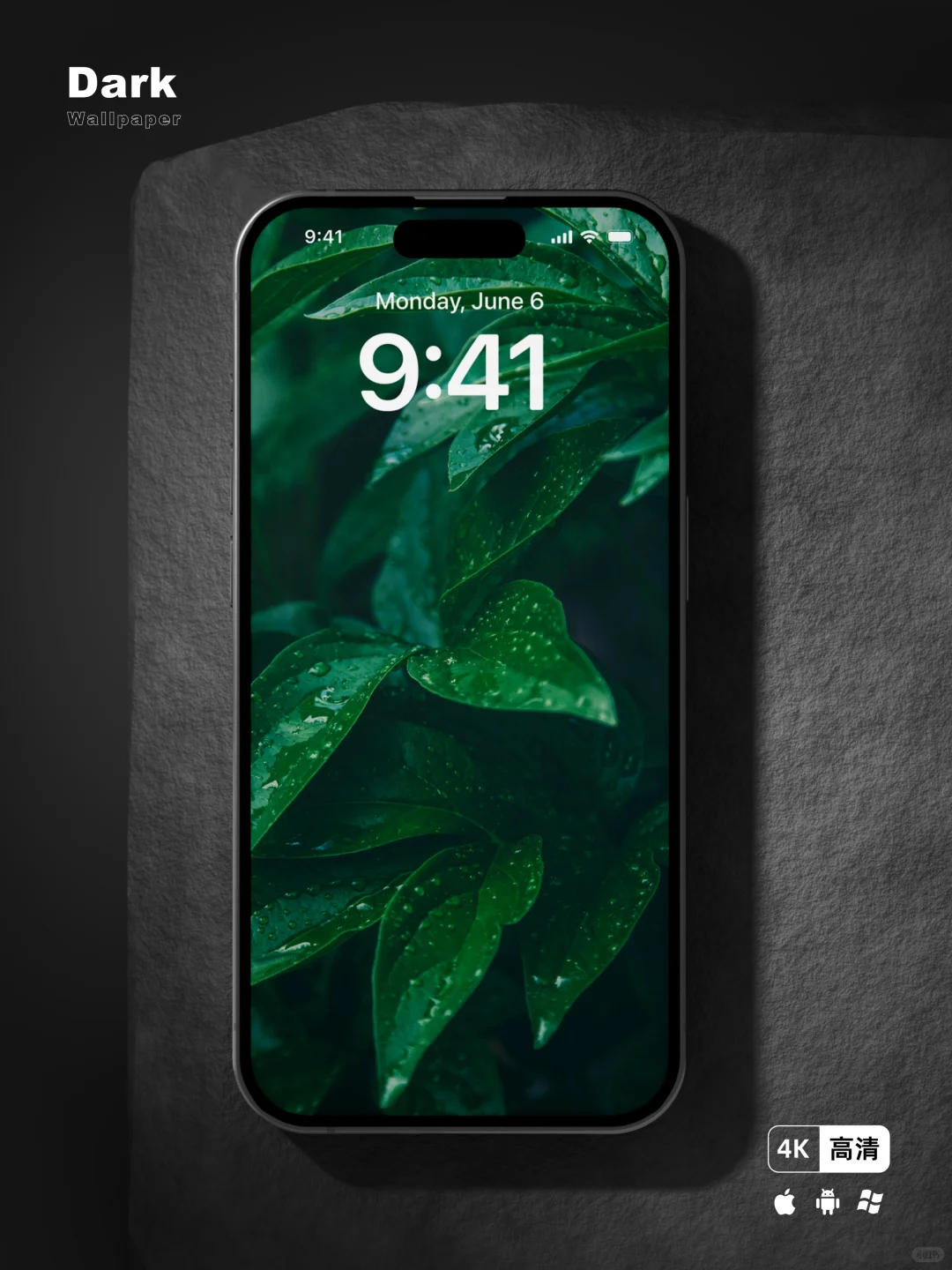 每日壁纸｜绿叶｜手机平板电脑壁纸