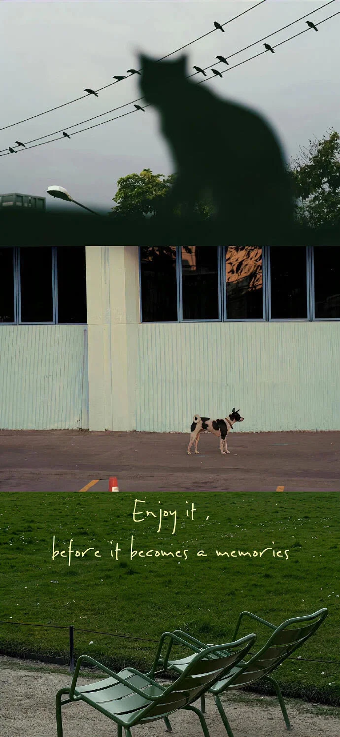 share｜小众拼接壁纸