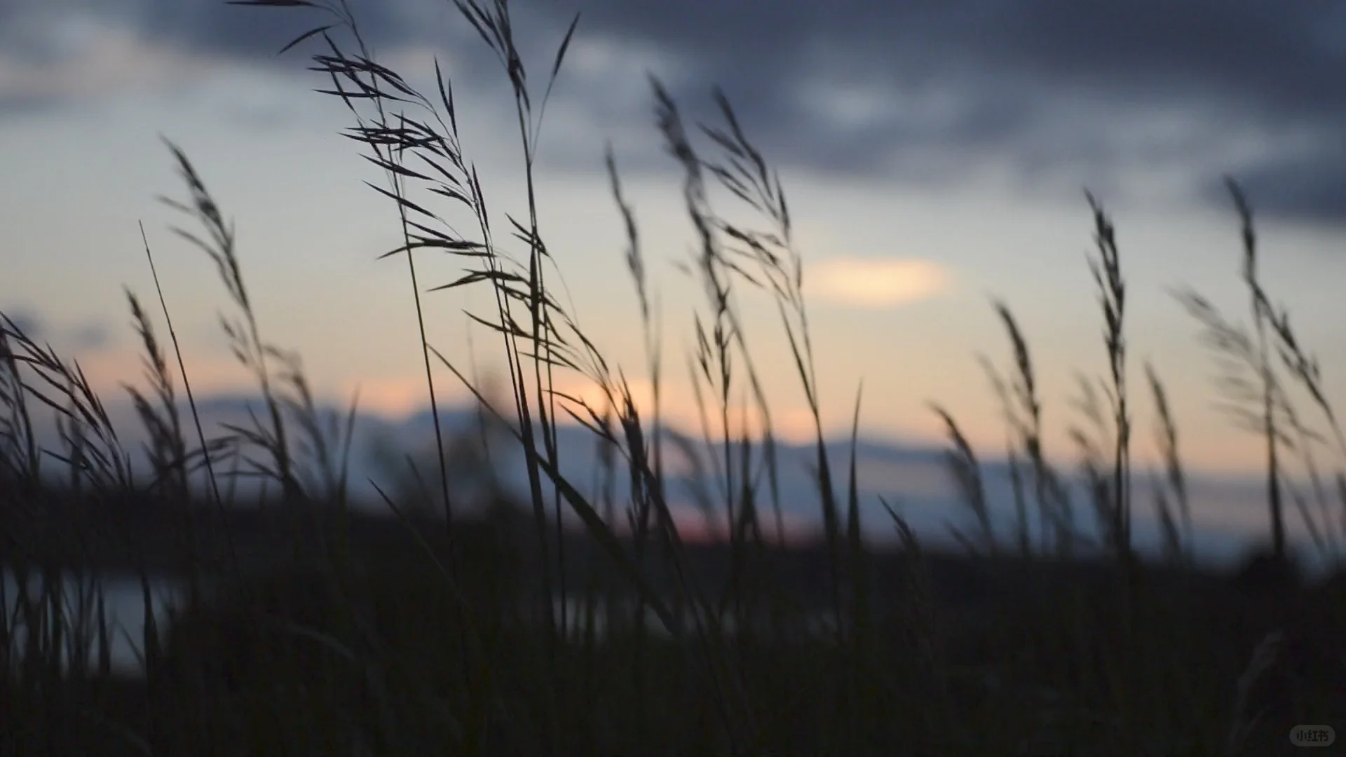 特别好看的动态壁纸！！