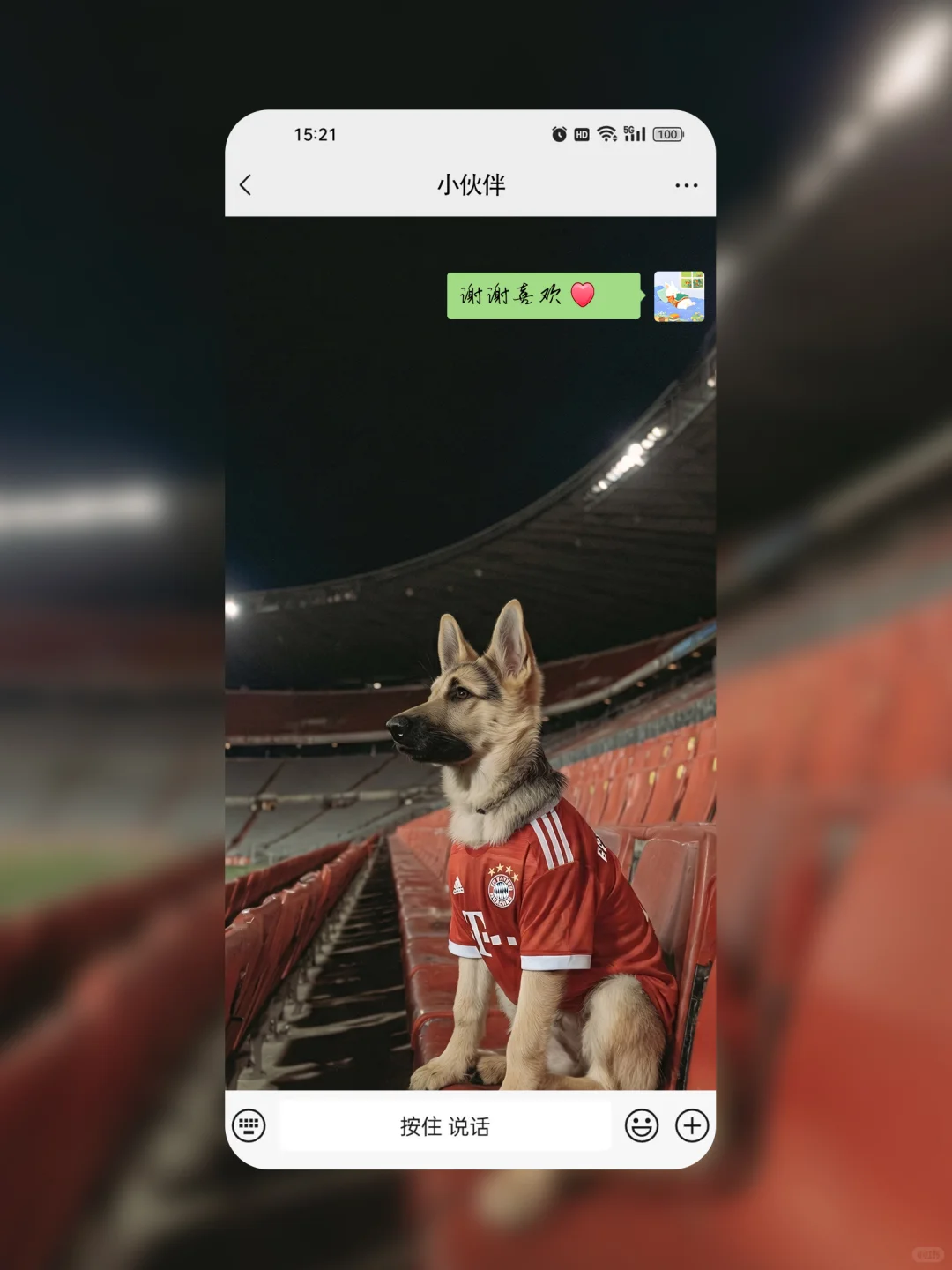 拜仁新援登场🐾⚽️ 168