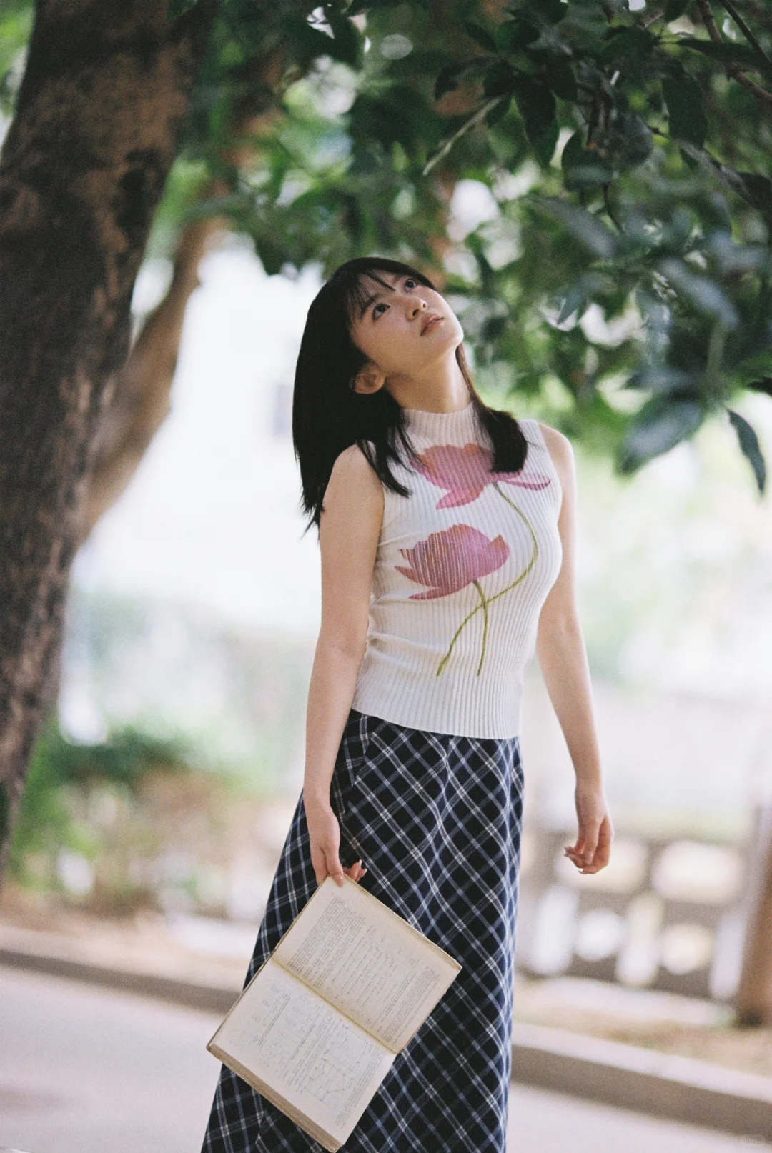 镇口老樹下 她写了半本青春📗✏️