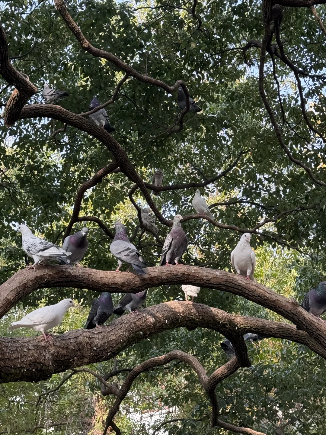 图片壁纸 分享随手拍