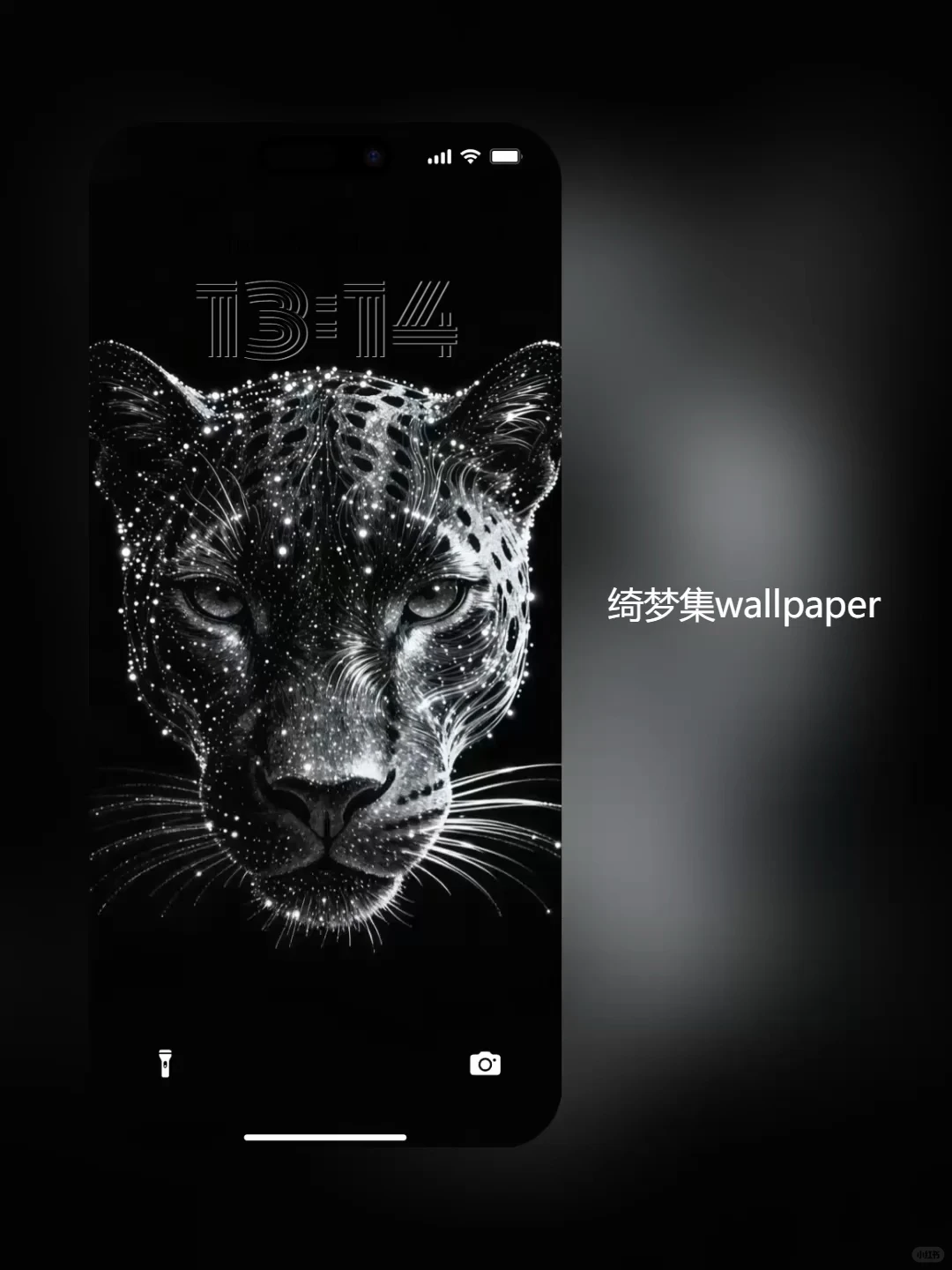 超写实远看逼真近看更有意境猎豹动态壁纸
