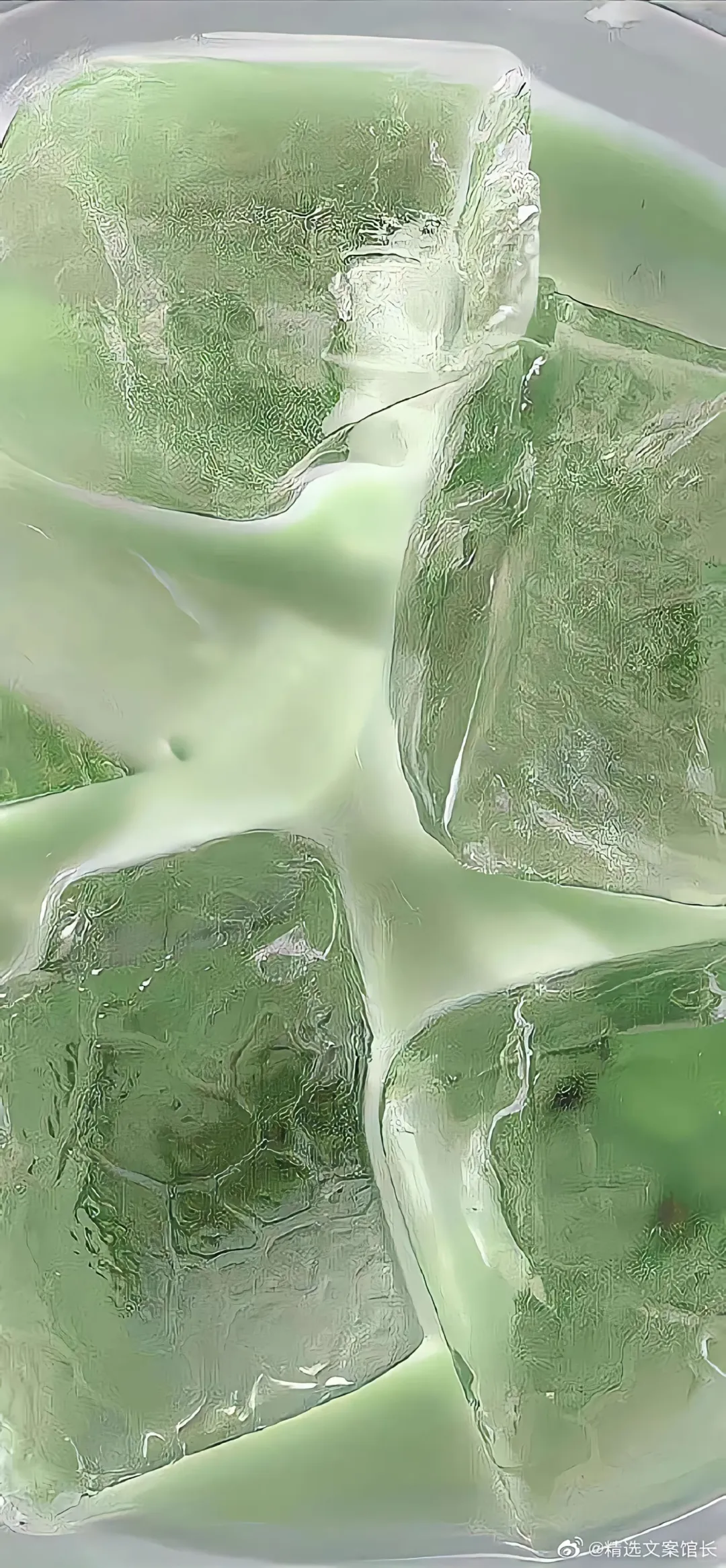 绿色系壁纸|真的好喜欢绿色