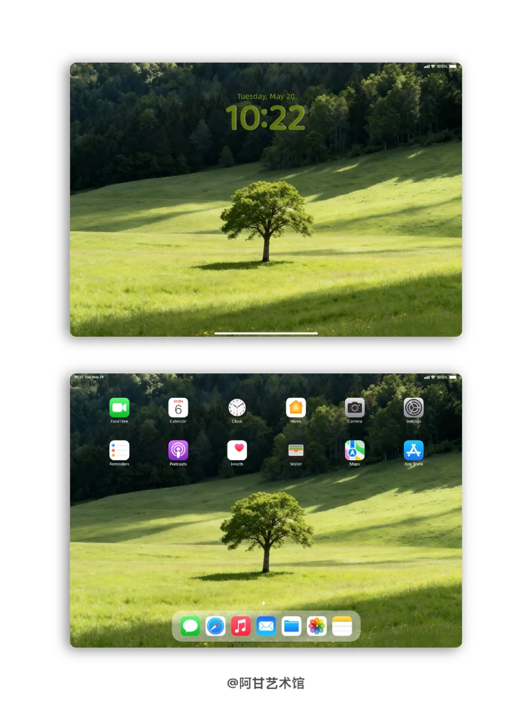 “风是自由的 希望你也是”｜壁纸