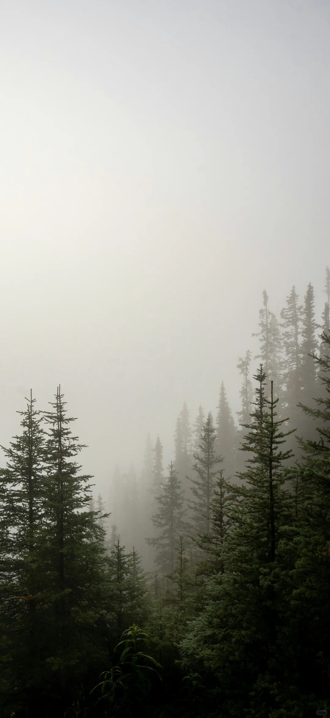 山林湖海 手机壁纸