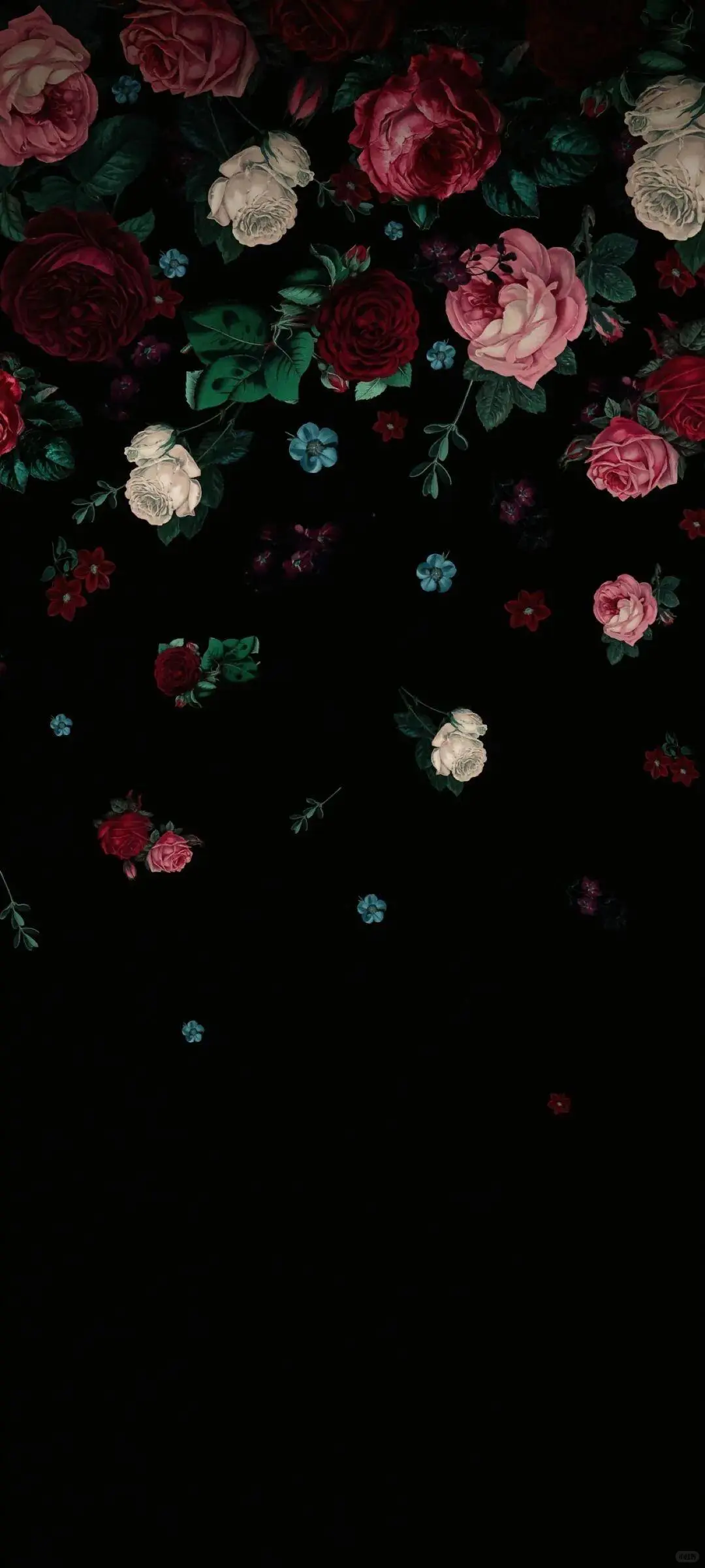 💒 𝐒𝐡𝐚𝐫𝐞｜黑白鲜花壁纸