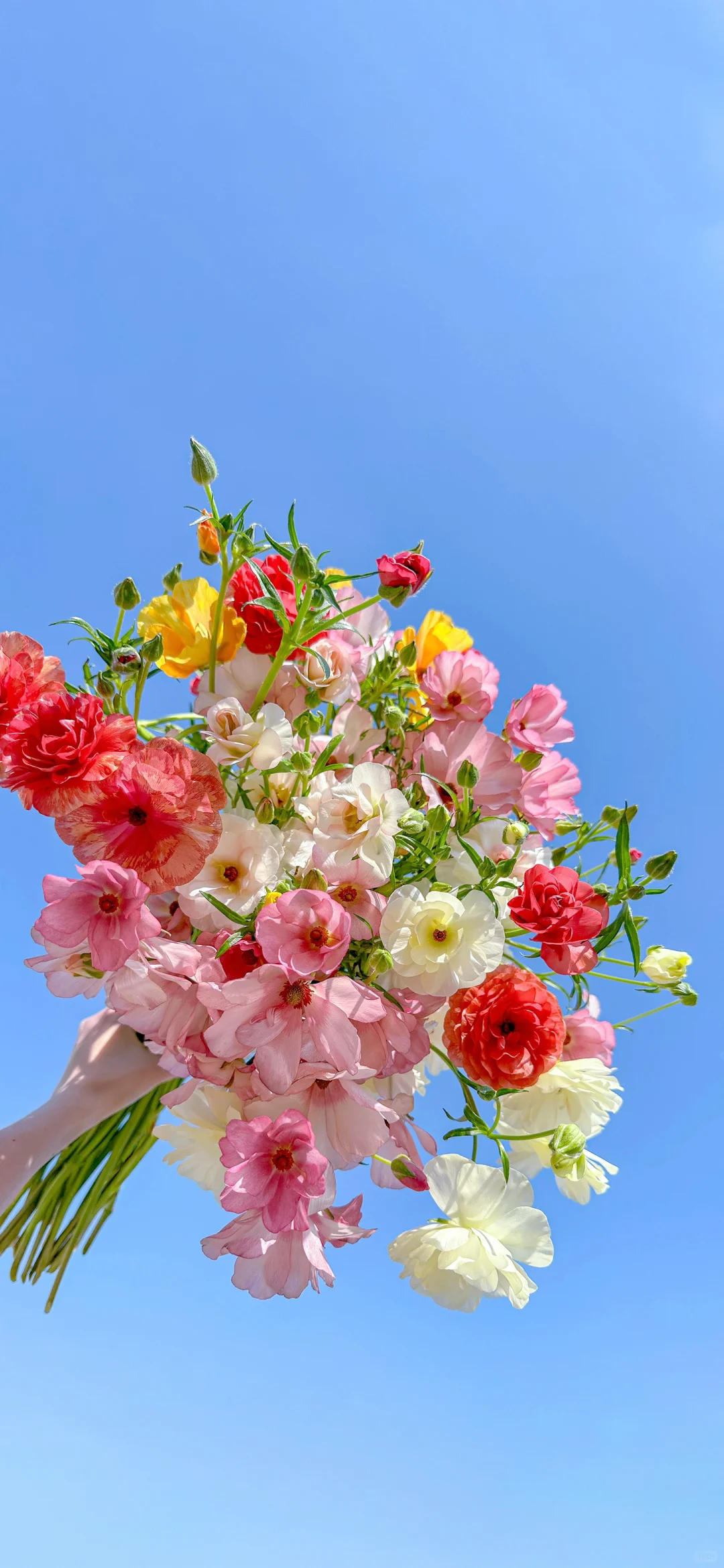 壁纸Fun｜高清原图