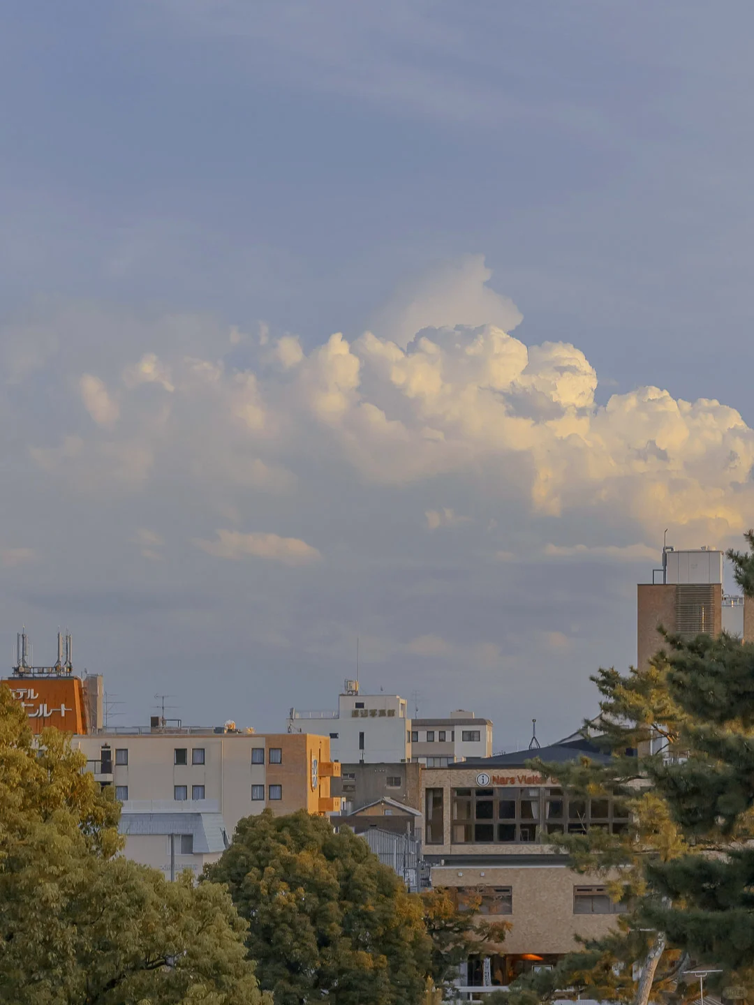 手机壁纸#屏保#风景壁纸