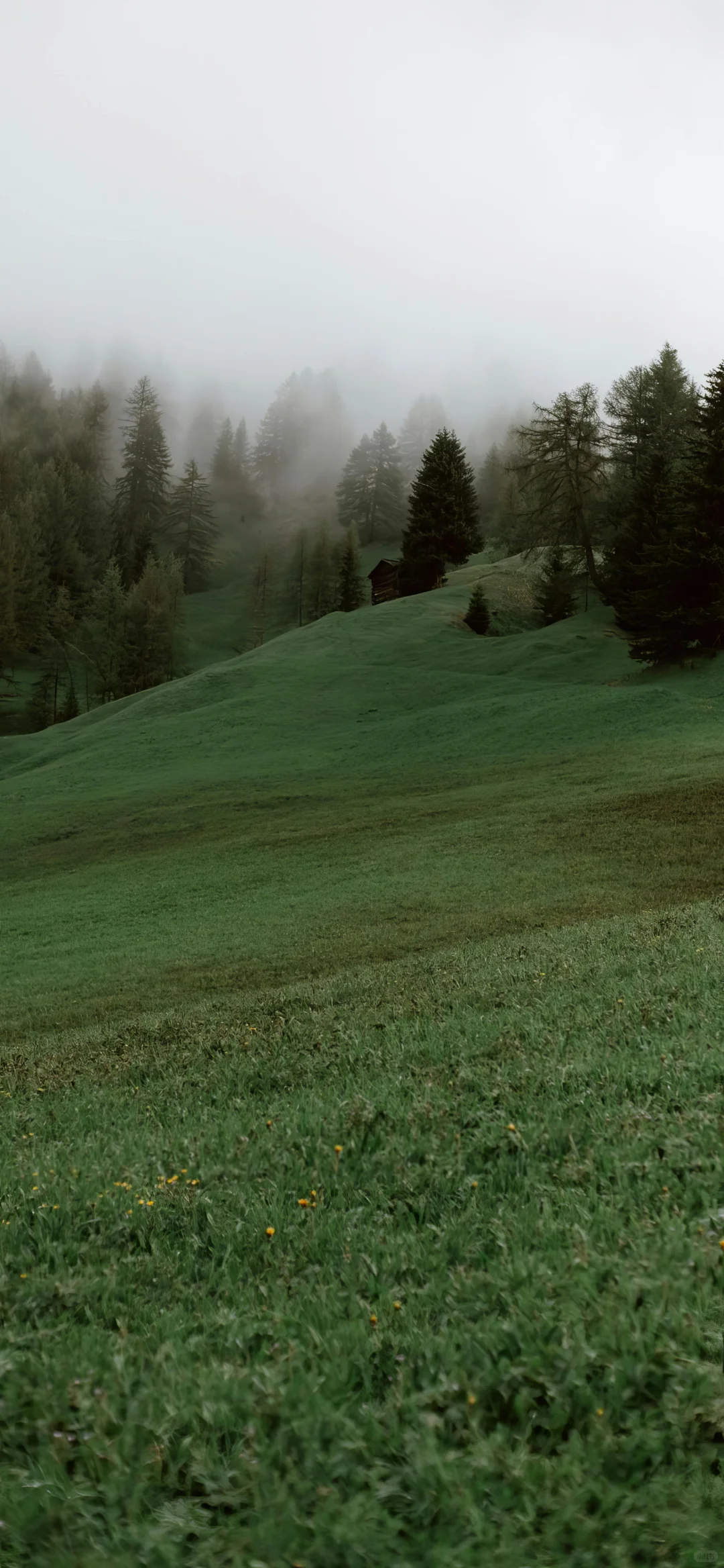 高清手机壁纸分享合集｜027