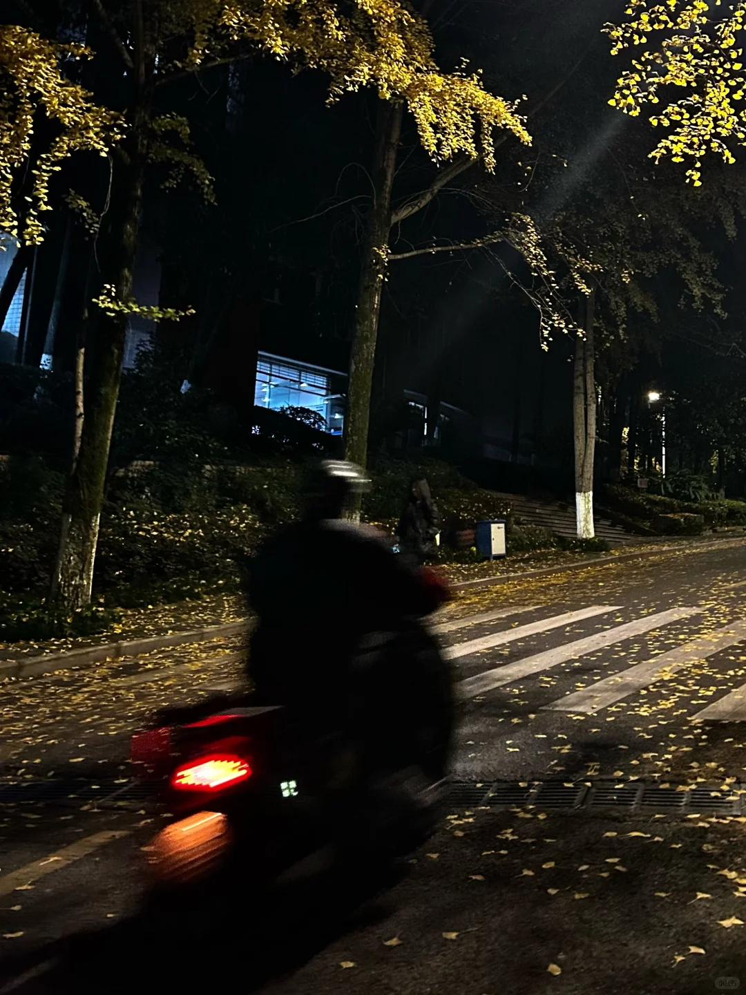 我的电子日记（碎碎念