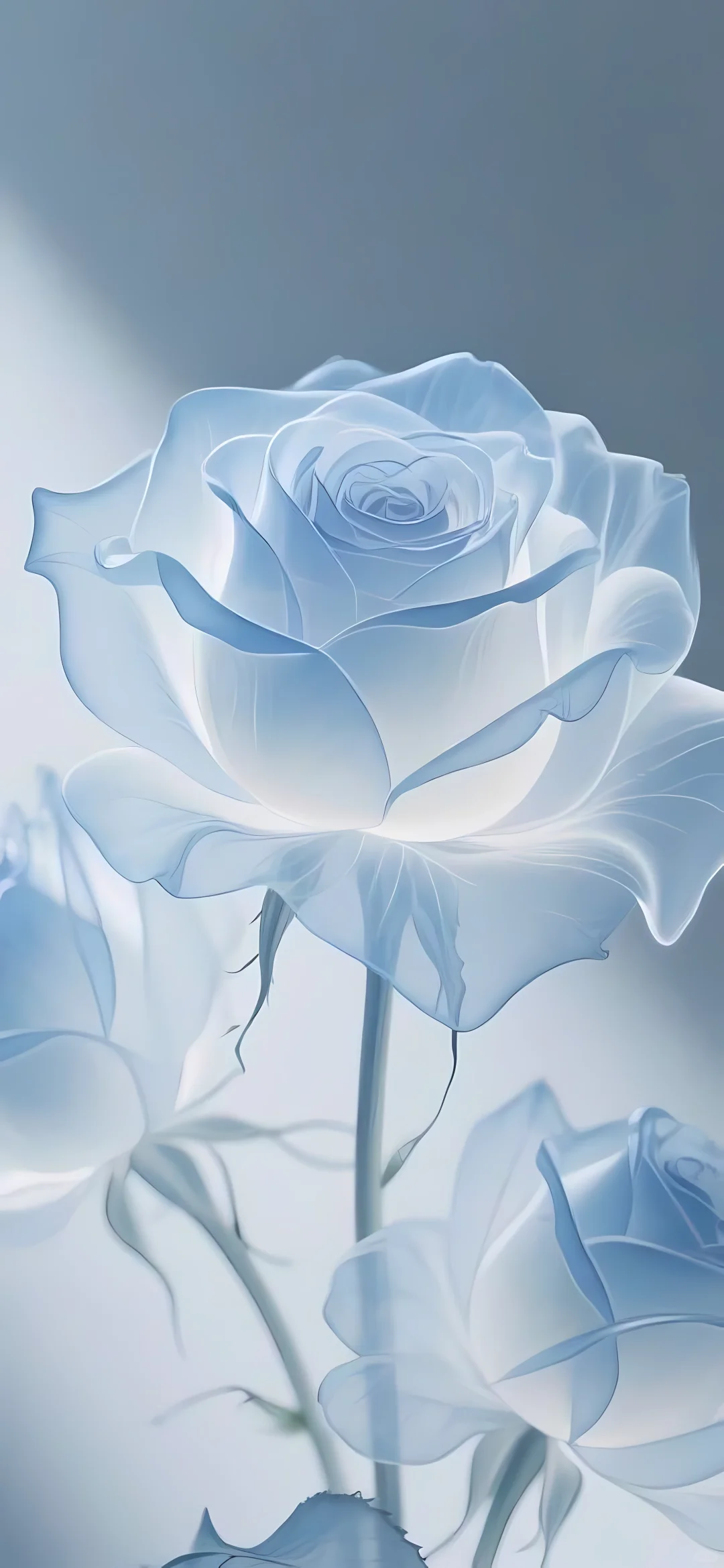 治愈系壁纸| 这也太太太高清了！